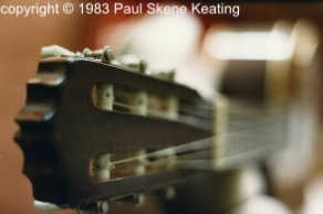 guitar head
